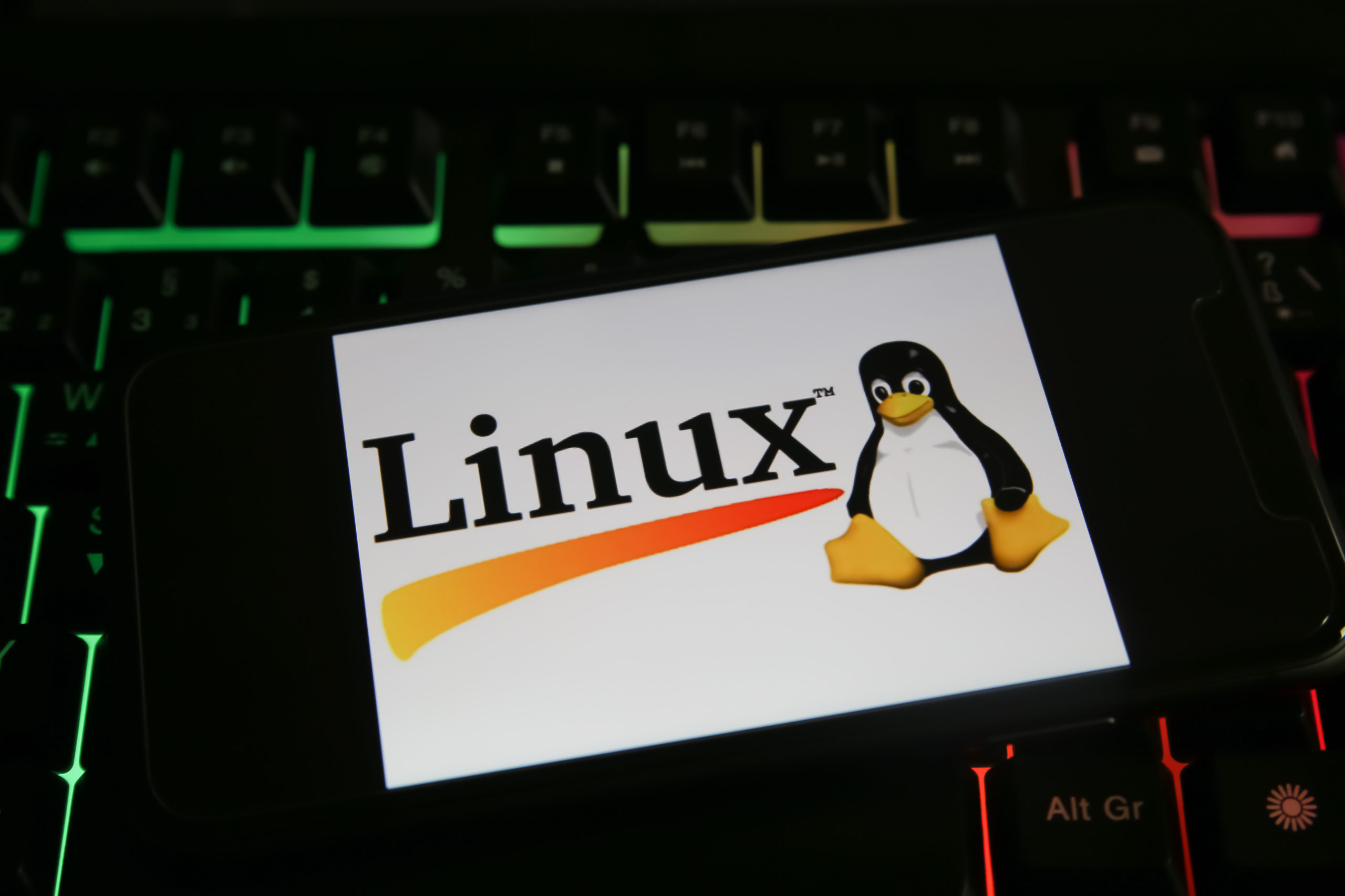 Linux hackers vuln